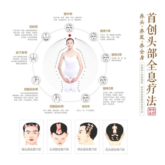 现代头疗探索之旅，养发理念革新与发展概况详解及前瞻分析