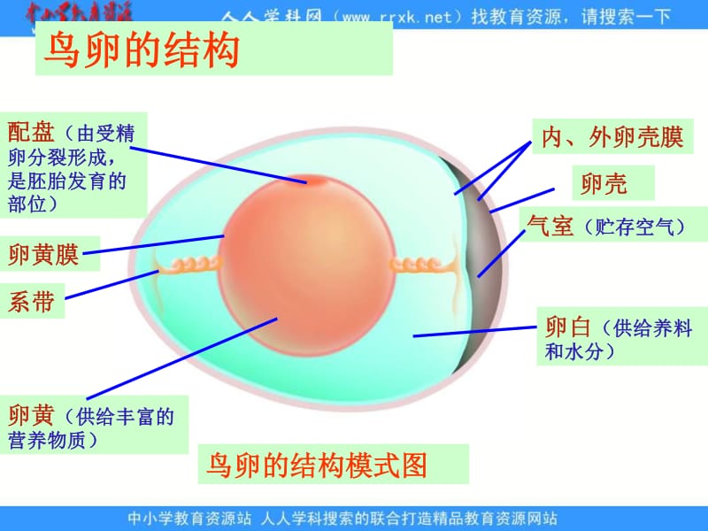 第1260页